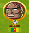 Cameroon in Tournament