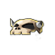 Skull (C)