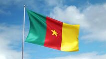 Flag of Cameroon (picture)