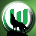 VfL Wolfsburg