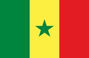 Senegal's Flag