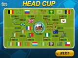 Head Cup final round